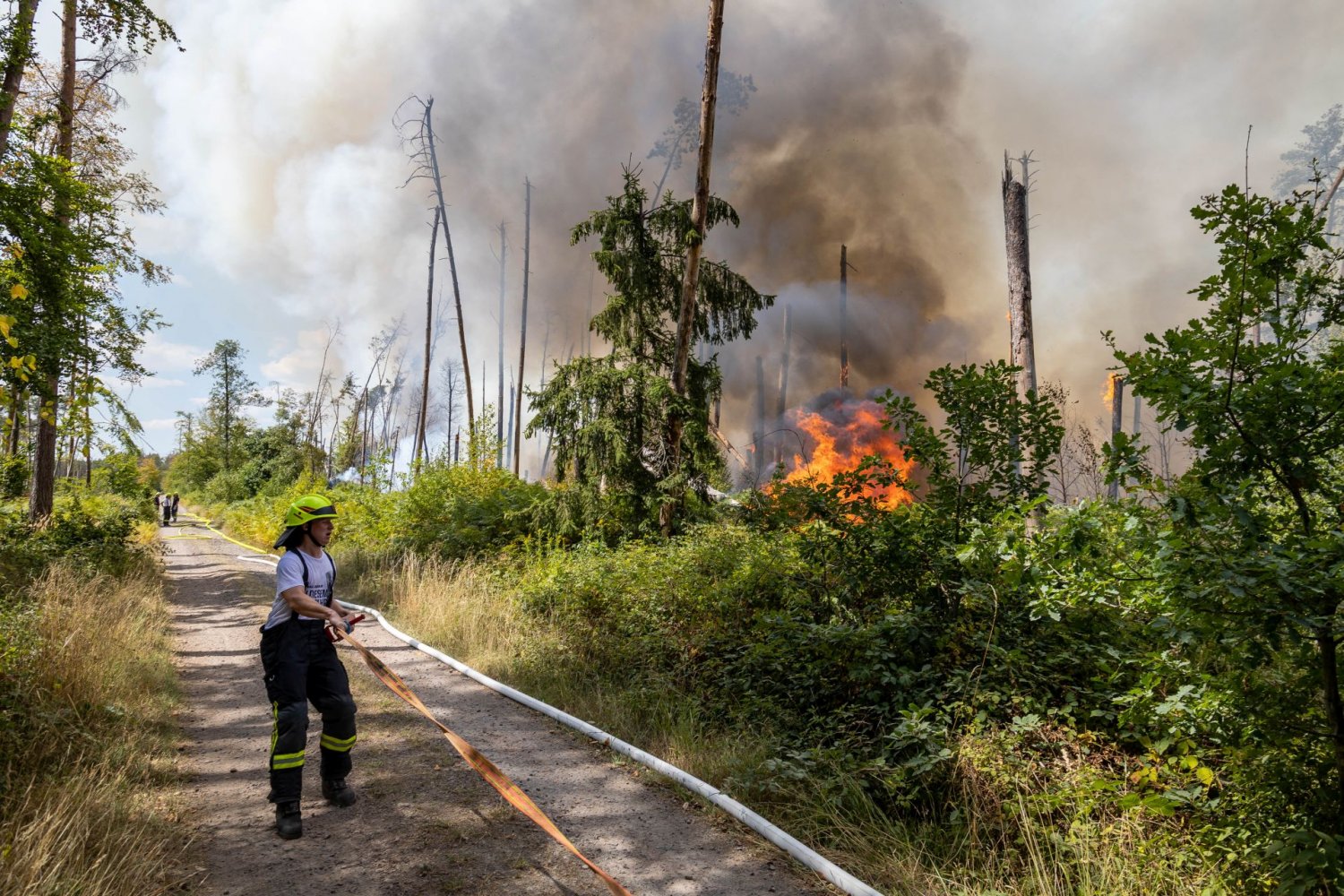 Schon 28 Fußballfelder brennen: Waldbrand-Horror & Explosionen