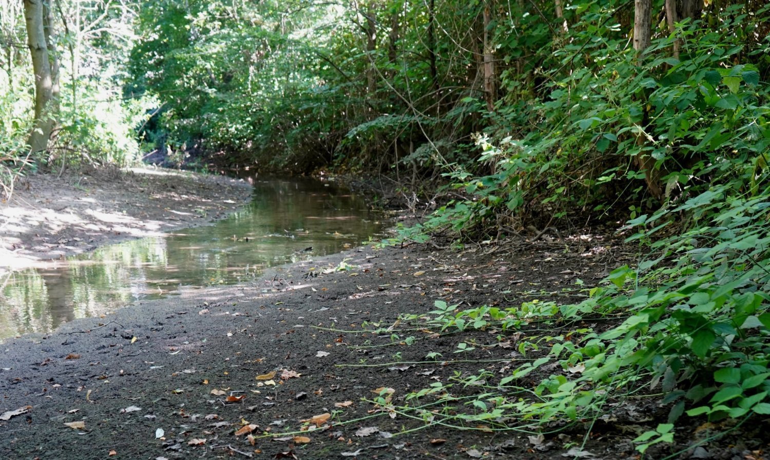Ein trockener Fluss in der Region