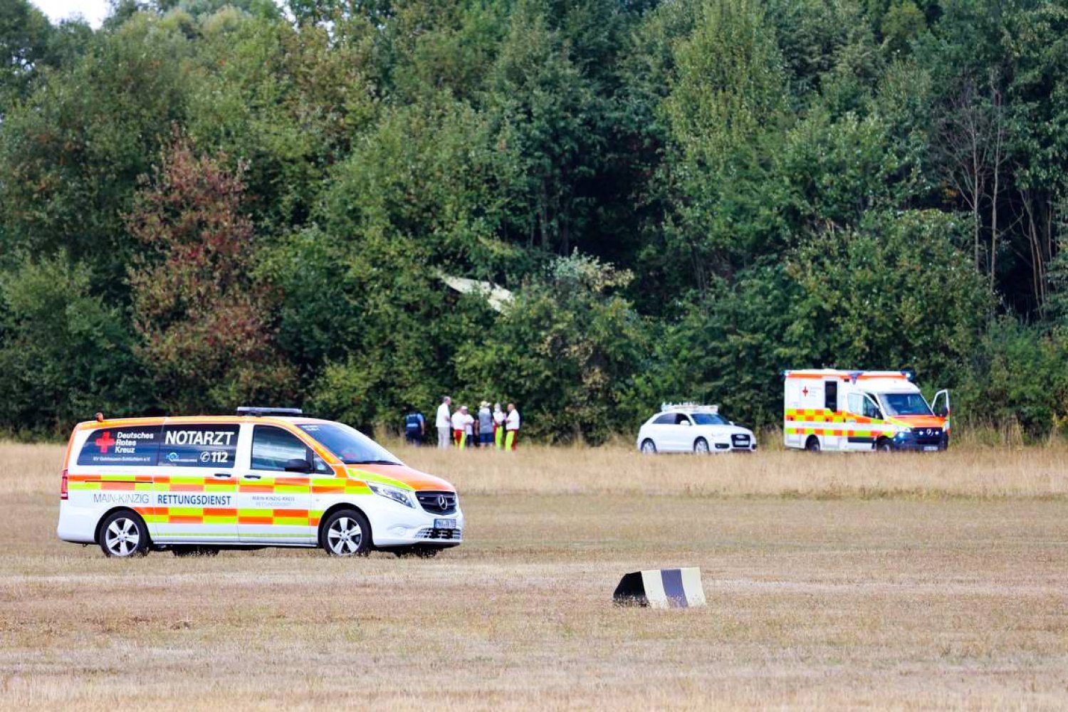 Das Flugzeug ist in den Bäume gelandet