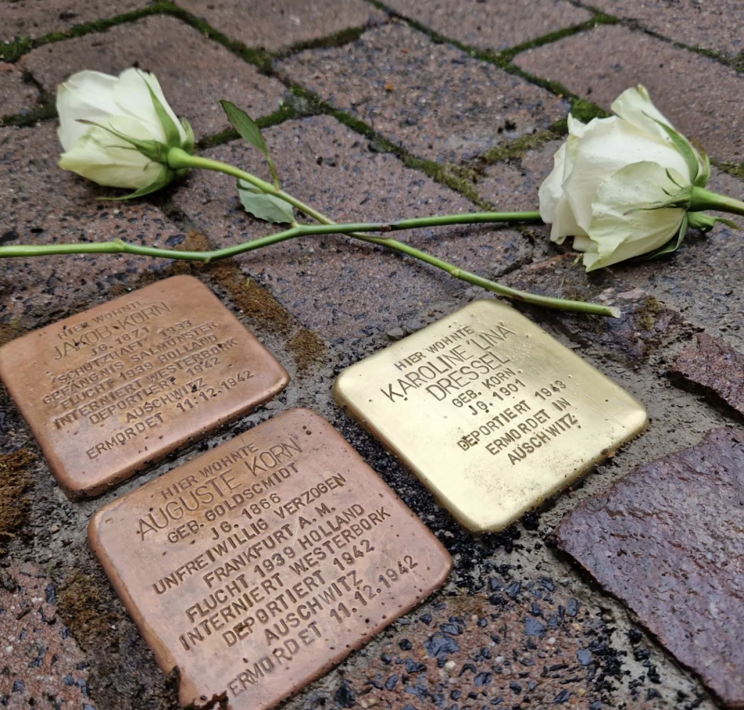 Bad Soden-Salmünster: Stolpersteinverlegung für ermordete Juden