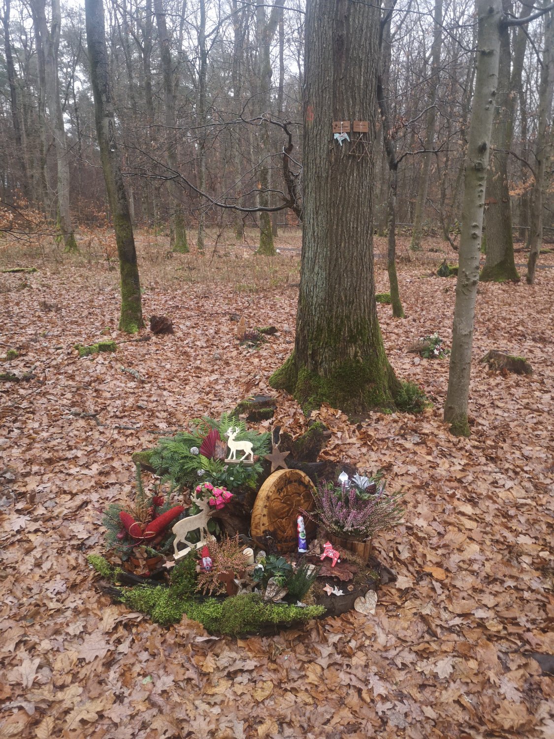 Die Stadtverwaltung berichtet darüber, dass die Dekoration der Grabstätten im Bestattungswald in letzter Zeit leider überhandgenommen habe.