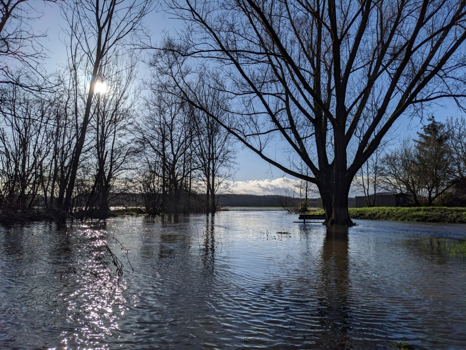 Land unter bei Nidderau-Eichen.