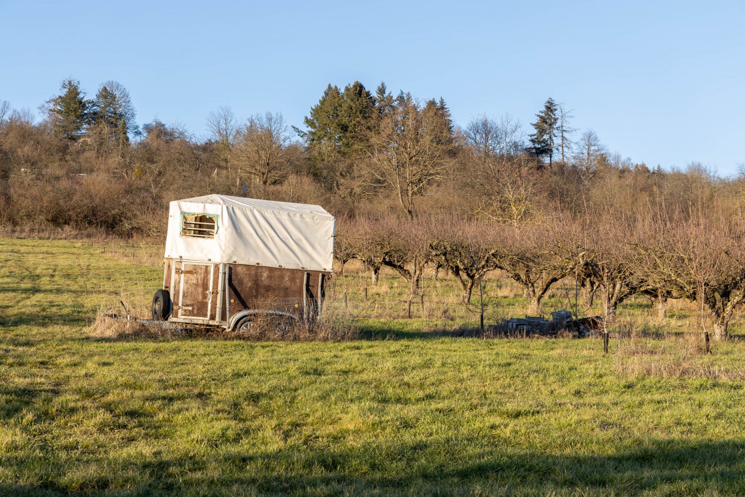 Frühlings-Spaziergang am Langenselbolder Weinberg