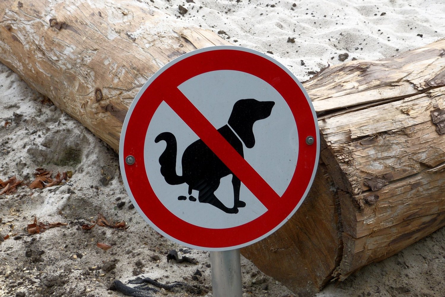 Gelnhausen: Hundehalter, beseitigt den Kot Eurer Hunde