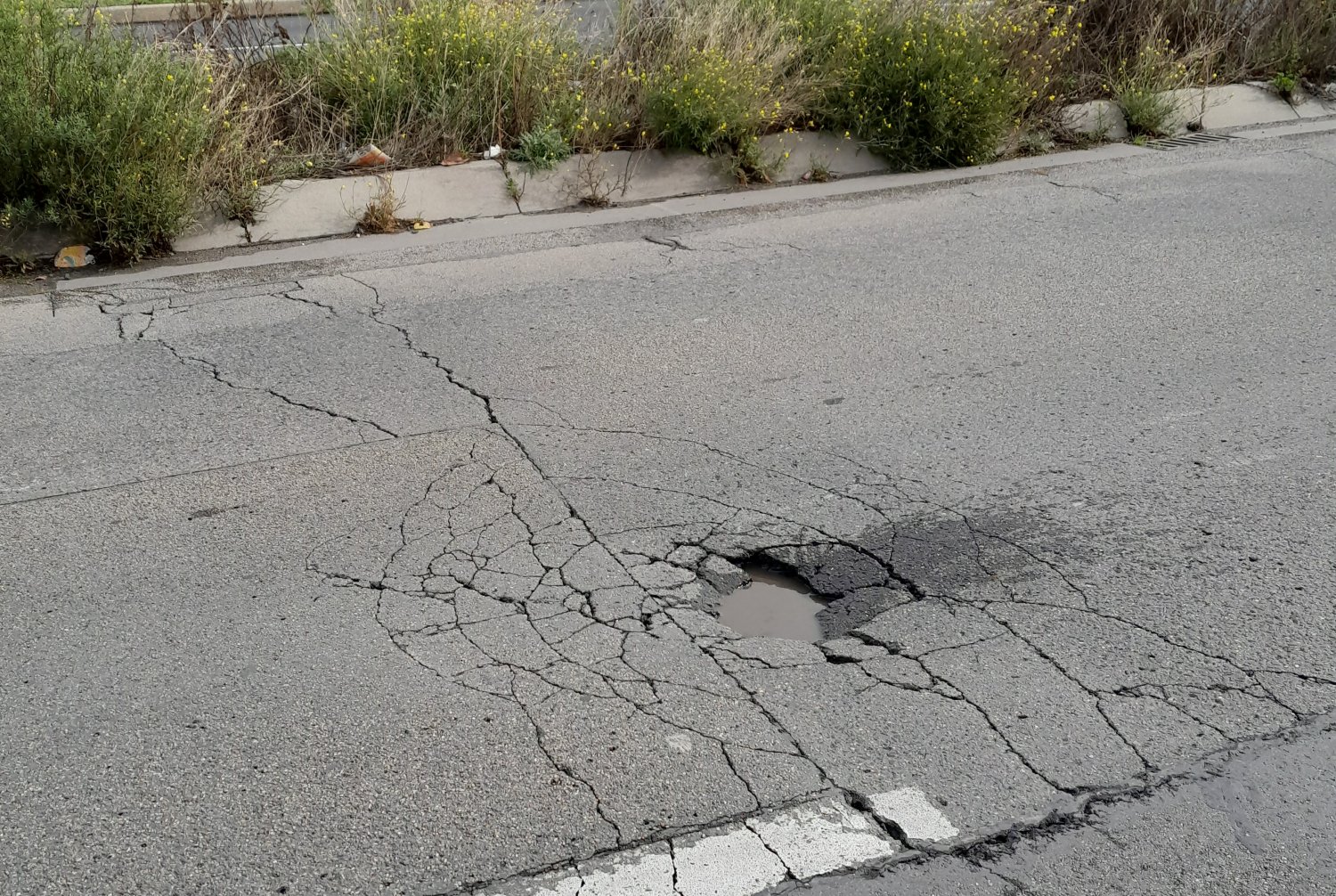 In fünf Hauptkategorien und derzeit zwanzig Unterpunkten können Bürgerinnen und Bürger im Digitaler Hinweisgeber unter anderem Straßenschäden oder Defekte eines Verkehrszeichens melden.