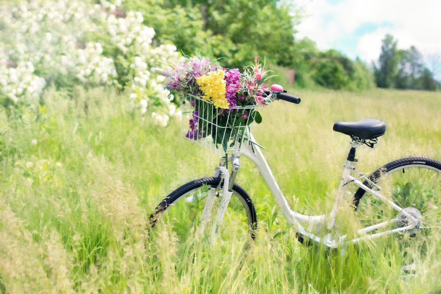 Die erste Ausfahrt steht bevor und in den Osterferien sind vielleicht schon ausgiebige Fahrrad- oder Pedelectouren geplant.