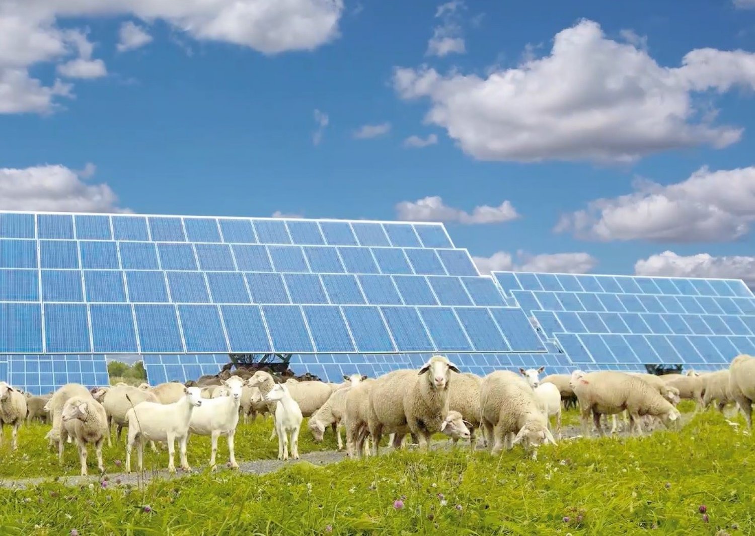 Die Stadt Schlüchtern will mit der Gründung der Energie Bergwinkel GmbH eigene Wege bei der Erzeugung von Strom und Wärme gehen.