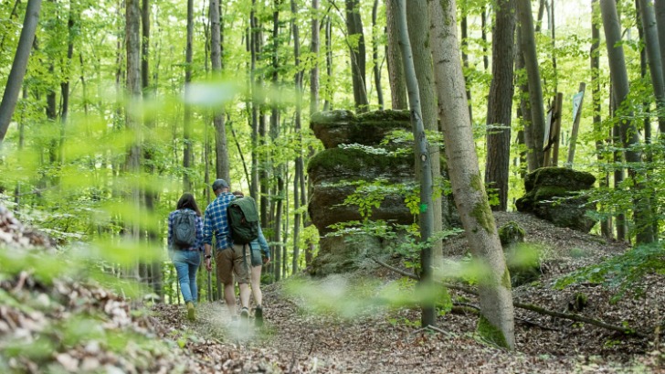 Spessart Tourismus Und Marketing Auf Dem Weg Zur Nachhaltigen ...