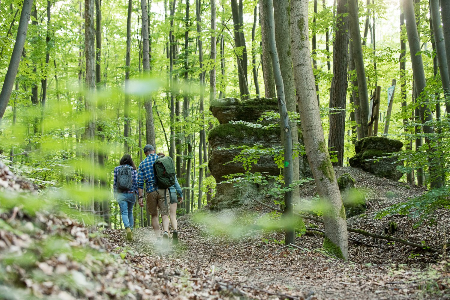 Spessart Tourismus Und Marketing Auf Dem Weg Zur Nachhaltigen ...