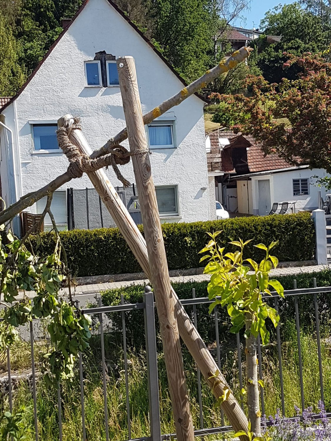 Gründau-Breitenborn: Unbekannte Täter zerstören mutwillig einen gepflanzten Baum am DGH und verursachen einen Schaden von 1.000 Euro.