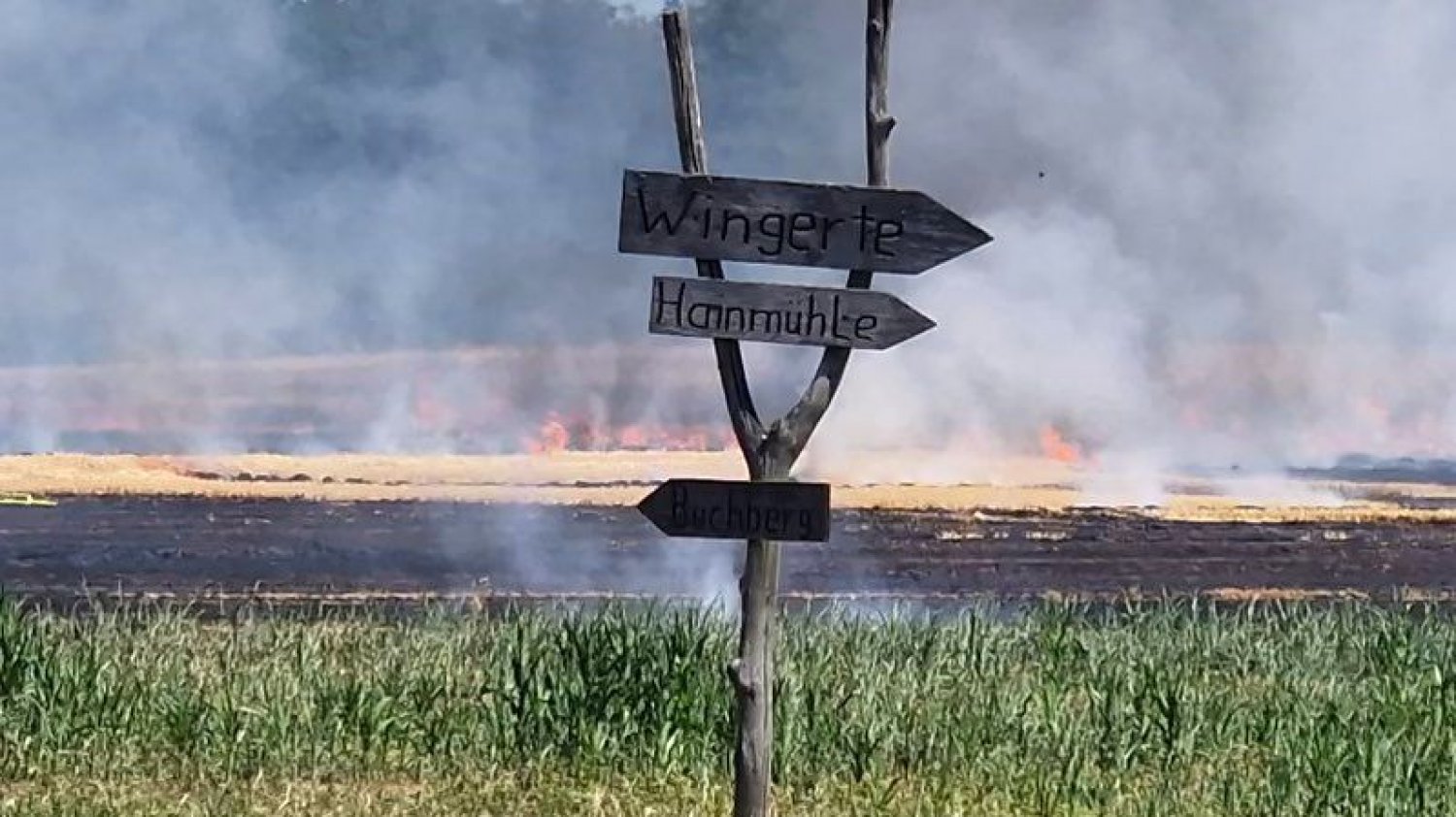 Flächenbrand auf 10.000 m²-Getreidefeld in Rodenbach.