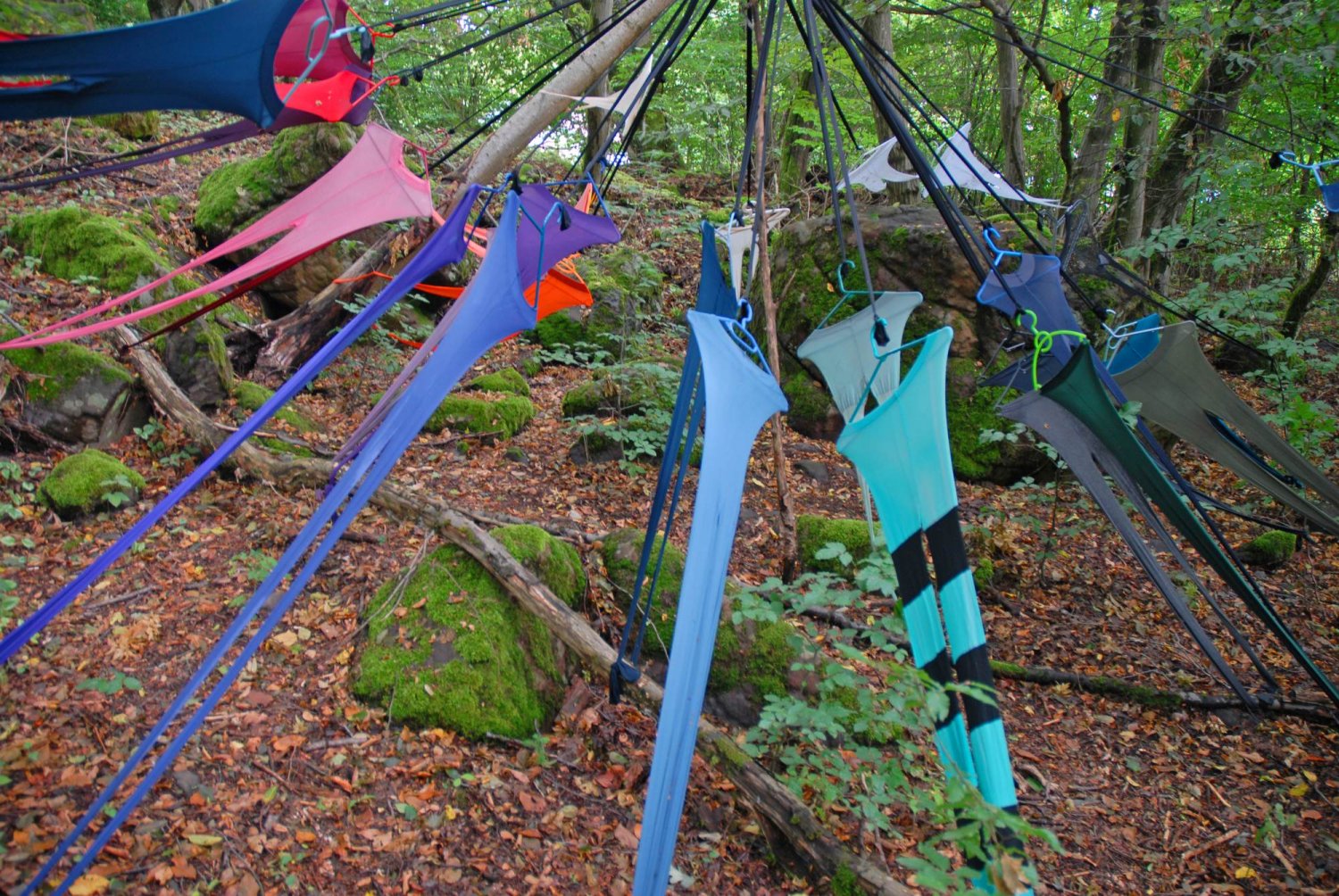 LandArt, das ist Kunst auf einem rund zwei Kilometer langen Pfad in der unendlichen Natur von Hutten-Heiligenborn.