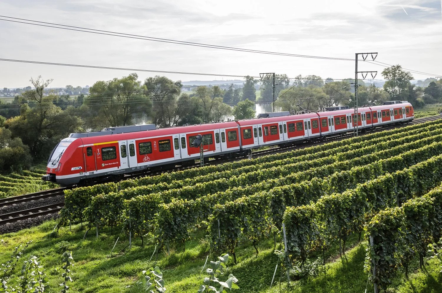 Die Freien Wähler Main-Kinzig fordern ein kostenloses ÖPNV-Ticket für junge Menschen.