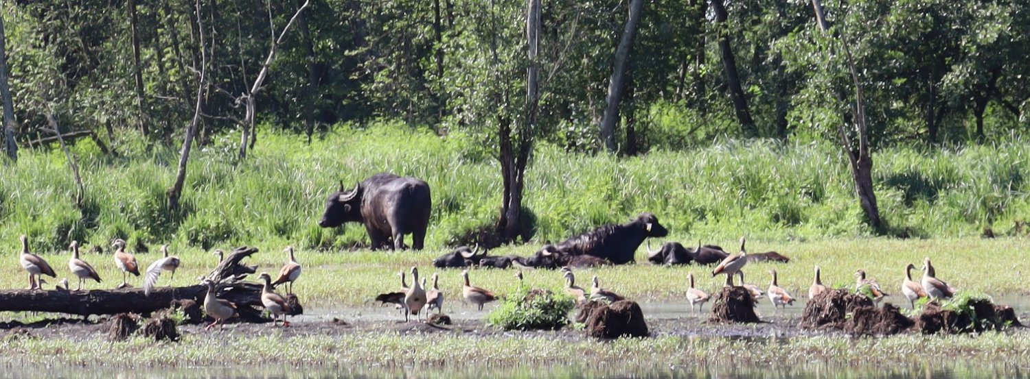 Sommerferien mit Temperaturen um 30 Grad – was gibt es da Schöneres, als ein ausgiebiges Bad im kühlen Nass zur Abkühlung.