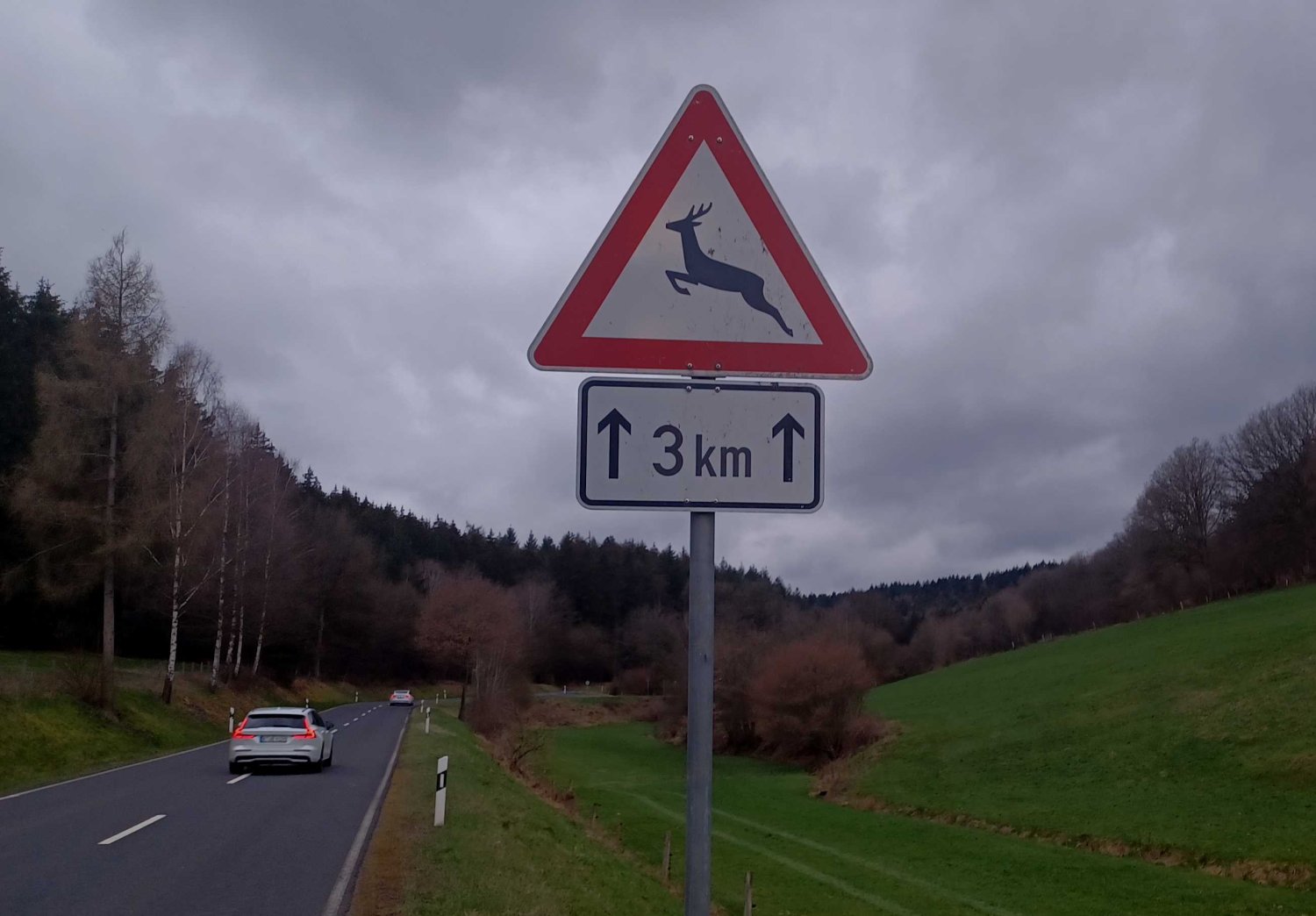 Befindet sich ein Tier auf der Fahrbahn, muss zunächst unbedingt das Fernlicht ausgeschaltet werden.
