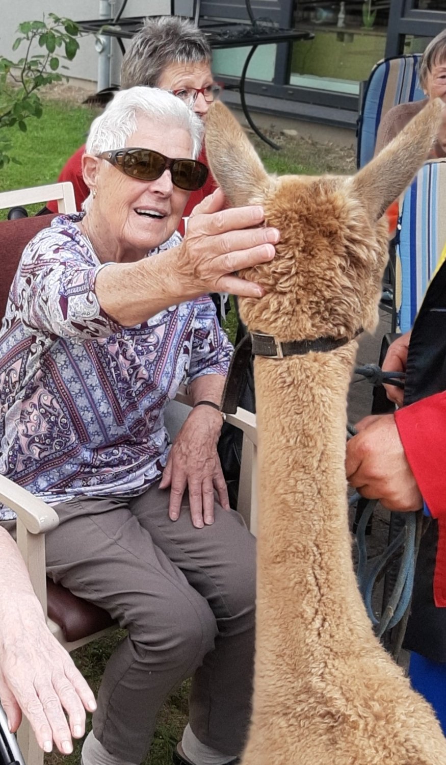 Mit ihrer Tiershow, Zauberern, Messerwerfern, Akrobaten und Clowns begeisterte der Zirkus Hallygally die Bewohner*innen der Senioren-Dependancen im Ronneburger Hügelland