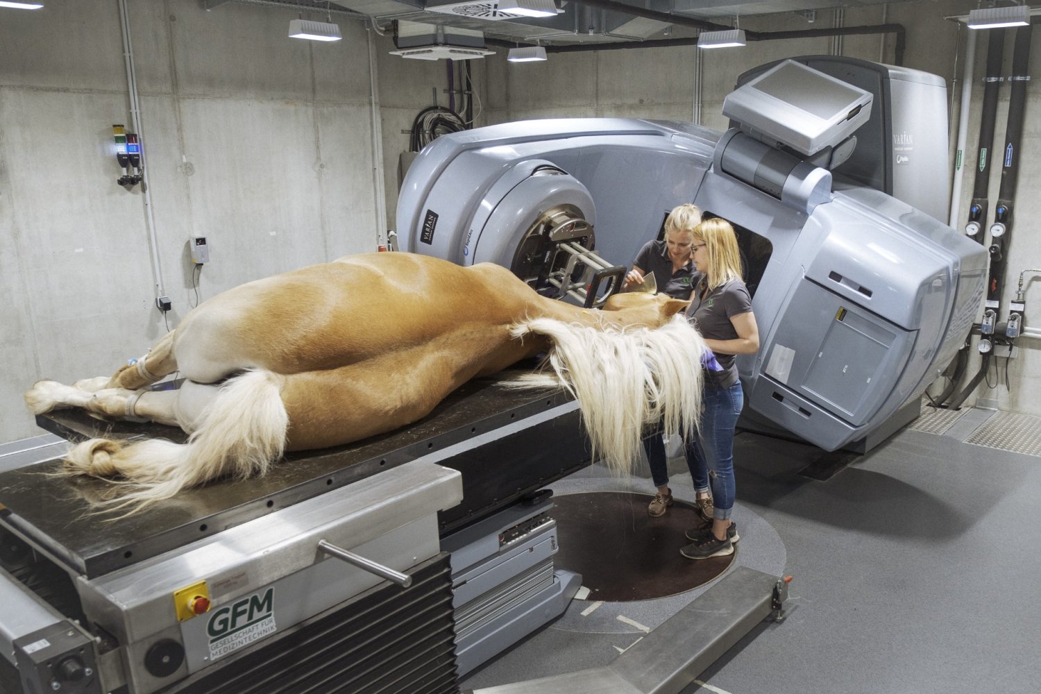 Tiere jeder Größe werden bei Equinox bestrahlt, sogar Igel und Nasenbären.