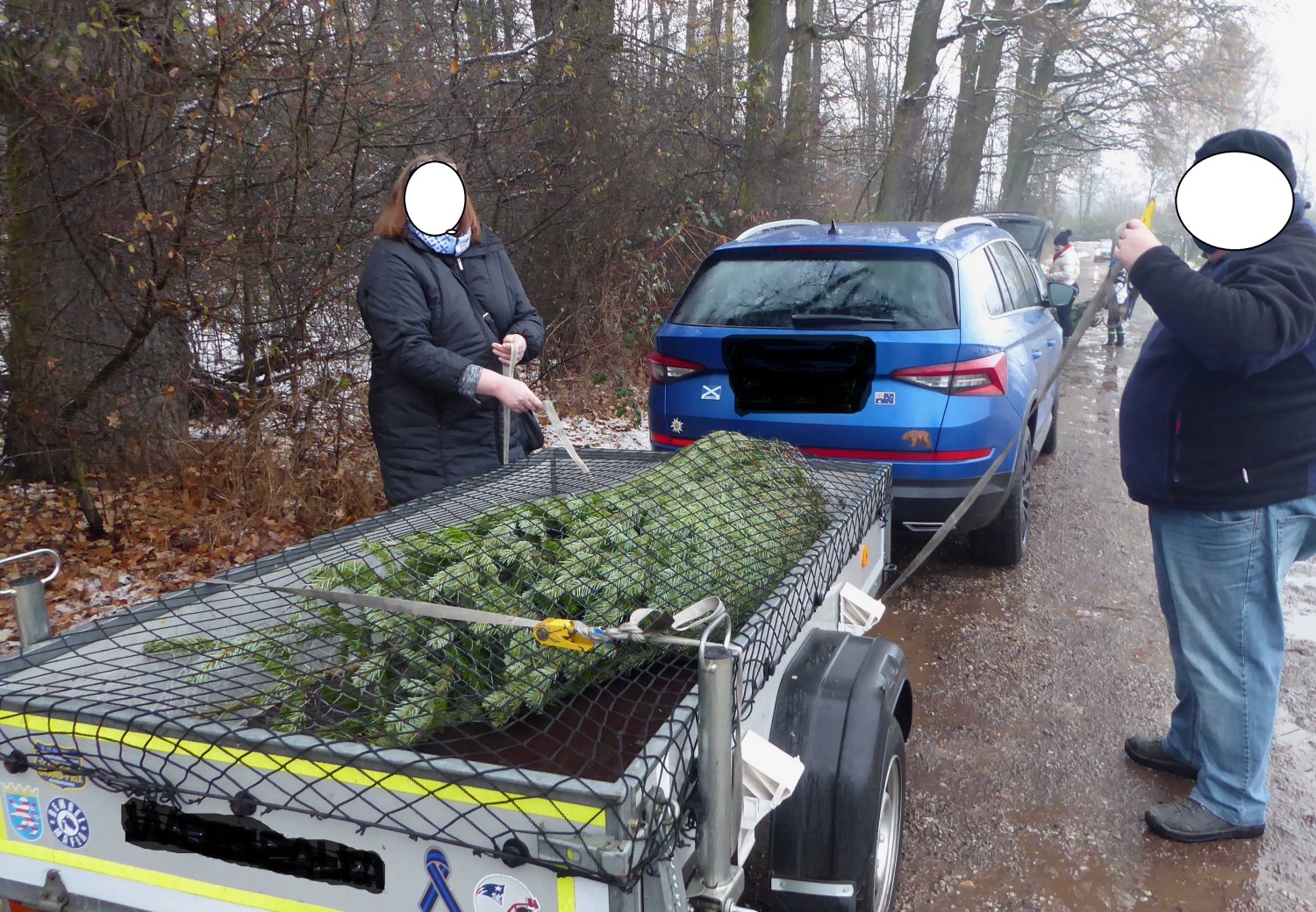 Egal, ob der Baum mit dem Dachgepäckträger oder im Autoinnenraum transportiert werden soll – in jedem Fall sind mindestens zwei Spanngurte erforderlich.