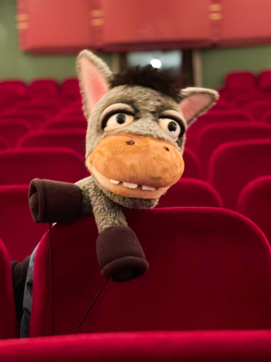 Was macht der Esel aus dem Erlebnispark im Theatrium?, image size:1125x1500