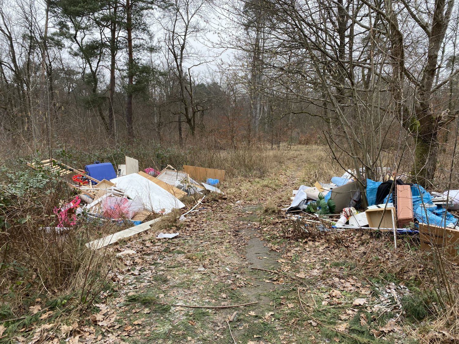 Am Wochenende sind auf der Zuwegung zum Bärensee (auf einem Stichweg, kurz hinter dem Parkplatz des Vogelschutzvereins) größere Mengen Sperrmüll illegal abgeladen worden.