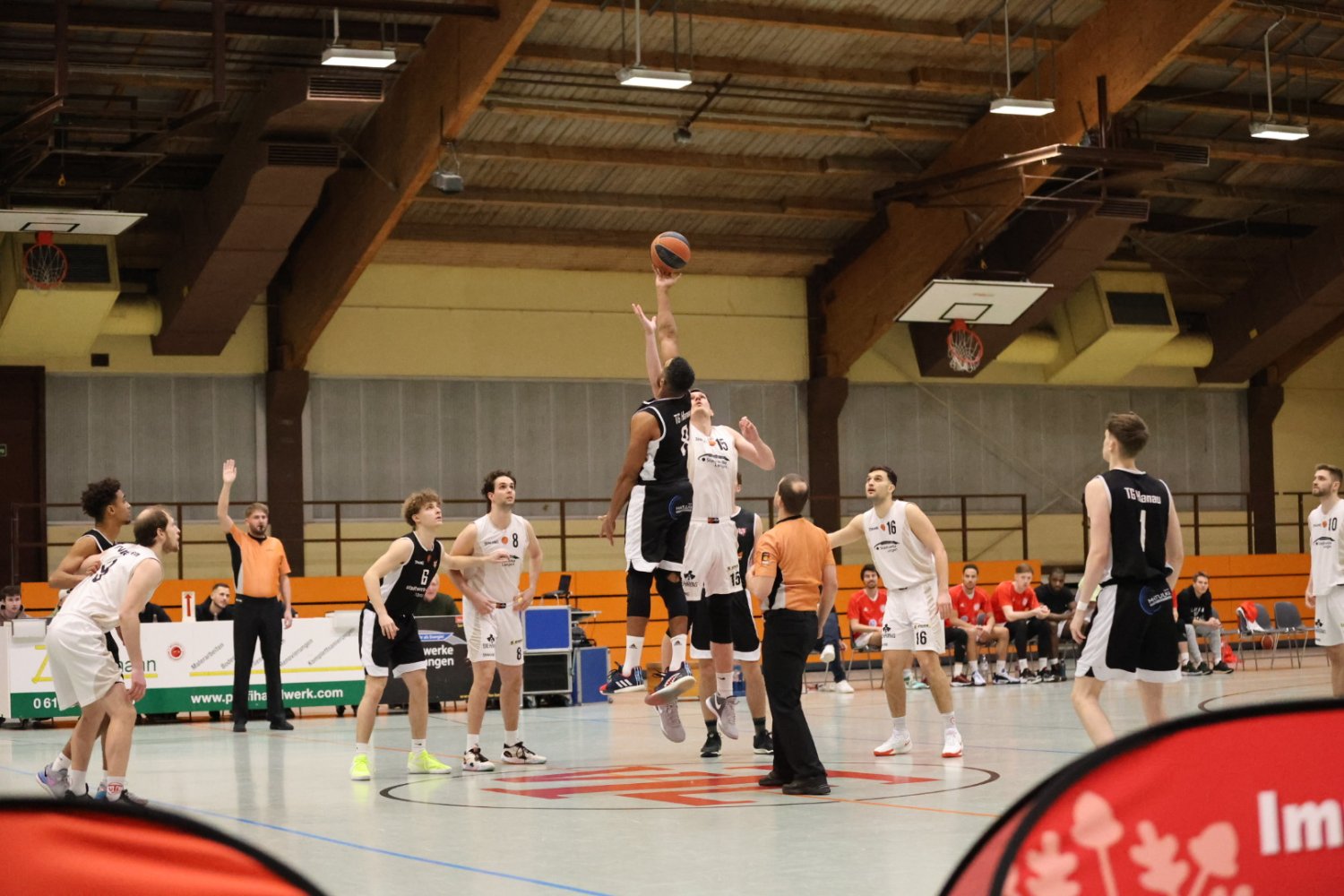 Die TG Hanau empfängt den SV 03 Tübingen Tigers.