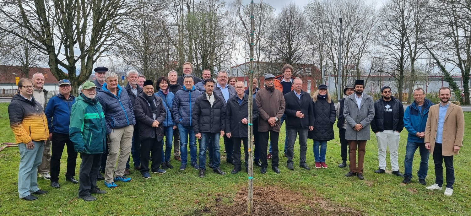 Vertreter der Ahmadiyya-Gemeinde und Gründauer Gemeindegremien setzen ein Zeichen: Gemeinsam pflanzen sie einen neuen persischen Eisenbaum als Ersatz für den von Vandalen im Februar beschädigten Baum.