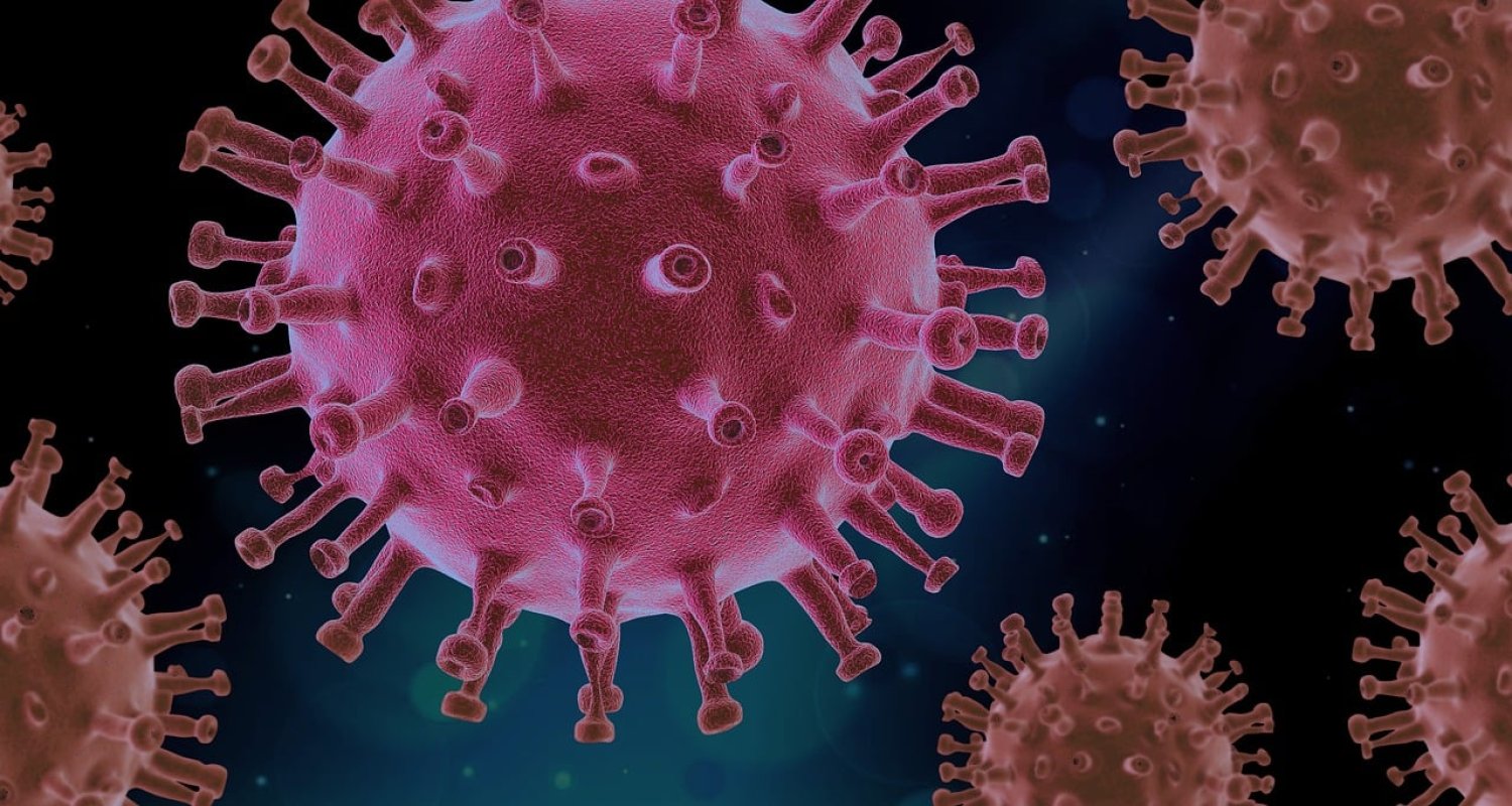 Vorsicht vor Hantavirus-Infektionen.