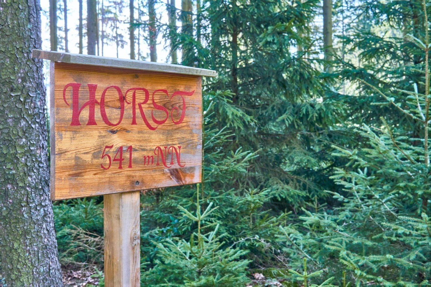 Bad Orb sieht im Bau eines Windparks am Horstberg die wirtschaftliche Grundlage des Kur-standortes in Gefahr. „Wald und Wasser sind das Kapital unserer Kurstadt.