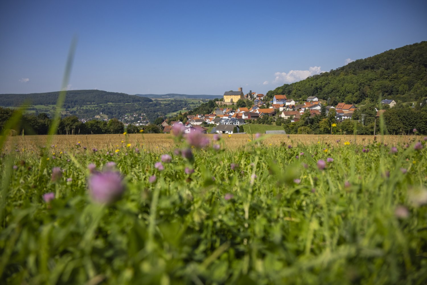 Aufpassen heißt es für alle, die beim Tiersuchspiel des Naturparks Hessischer Spessart in Sinntal mitmachen möchten.