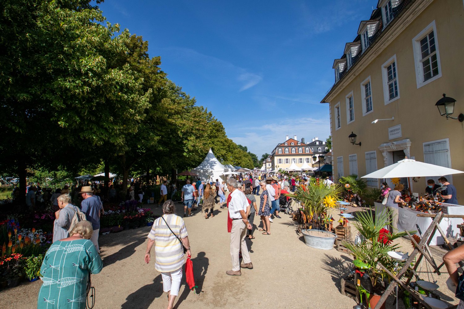 Der Magistrat der Stadt Hanau hat beschlossen, umfangreiche Sanierungs- und Erweiterungsarbeiten am Comoedienhaus in Wilhelmsbad durchzuführen.