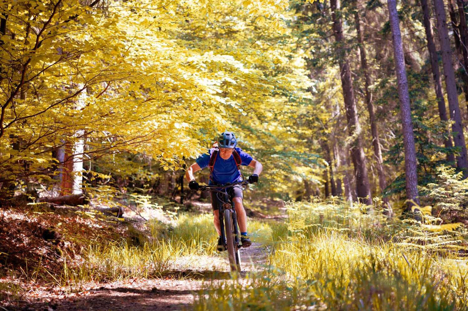 Seit nunmehr zehn Jahren begeistert das Spessartbiken-Netz Mountainbike-Fans.