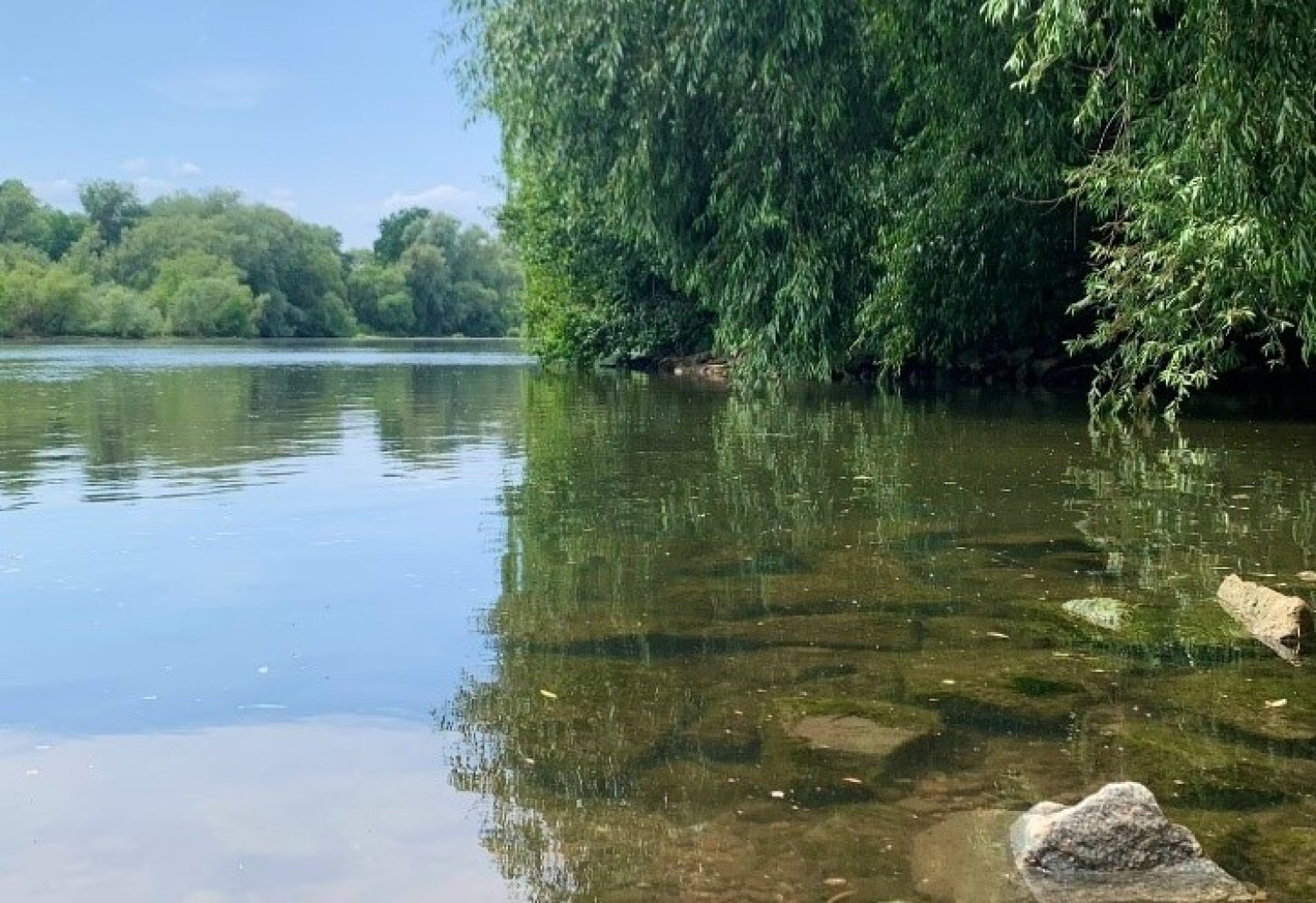 Im Rahmen des Projekts „Blaues Band Maintal“ soll der Main im Bereich zwischen Mainkur und Kesselstädter Schleuse wieder seine typischen naturnahen Auenlandschaften erhalten. 