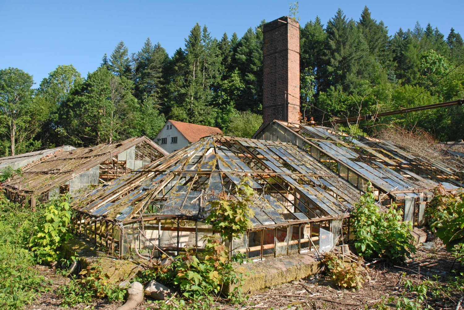 Nachdem jetzt „der Urwald“ zum Teil beseitigt wurde, ist ein Blick auf den verfallenden Gebäudekomplex möglich.