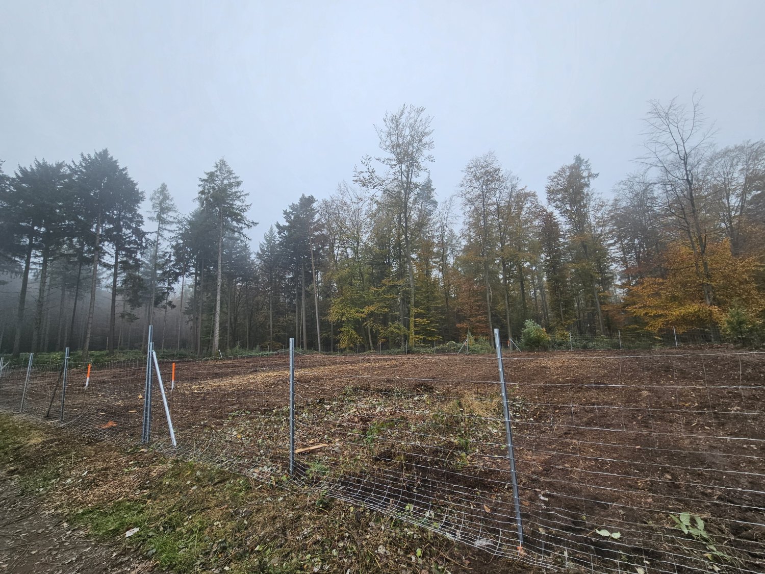 Die Gemeinde Gründau lädt alle Bürgerinnen und Bürger herzlich zur Baumpflanzaktion am 30. November ein.