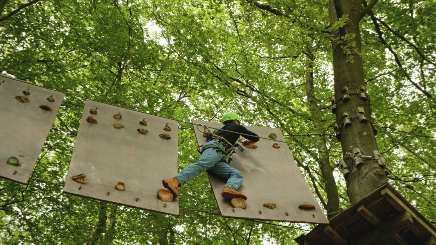 Europa Kletterwald Steinau startet offiziell am 05.04.2025 in die neue Klettersaison