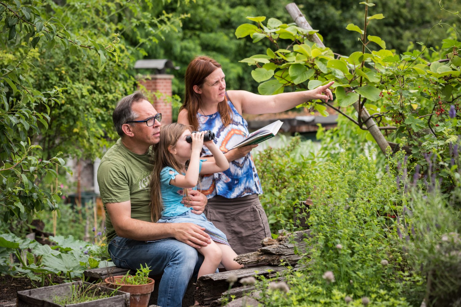 Einfach eine Stunde lang die Vögel im Garten, auf dem Balkon oder im Park beobachten und die höchste Anzahl jeder Vogelart, die innerhalb dieser Stunde gleichzeitig beobachtet wird, dem NABU melden.