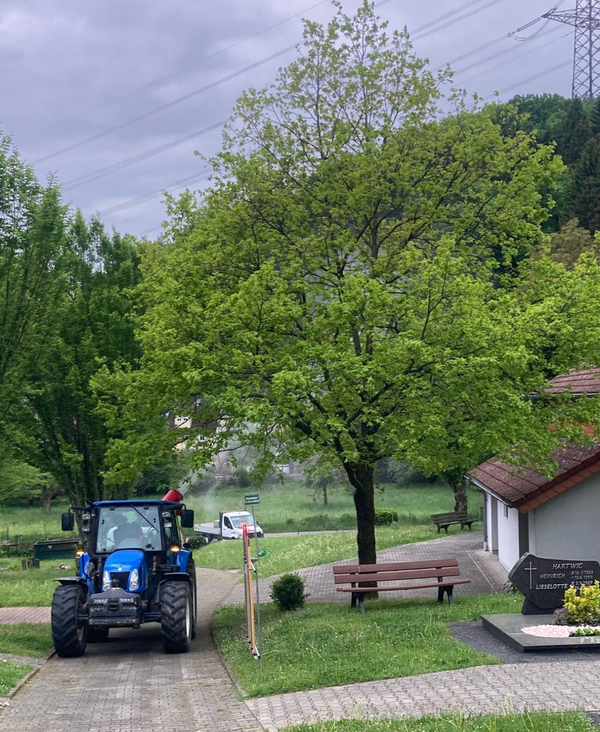 Präventive Bekämpfung des Eichenprozessionsspinners im Bereich der alten Eichen am Friedhof im Ortsteil Breitenborn.