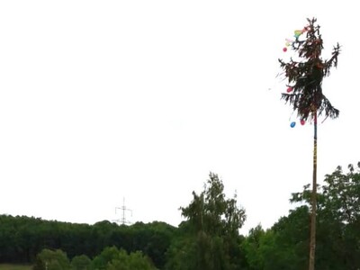 Der Kerb-Baum steht - das Fest kann beginnen.