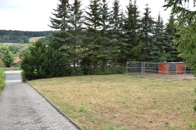 Das Grundstück, auf dem sich die Hunde befinden, liegt zwischen dem Friedhof und der Hauptstraße.