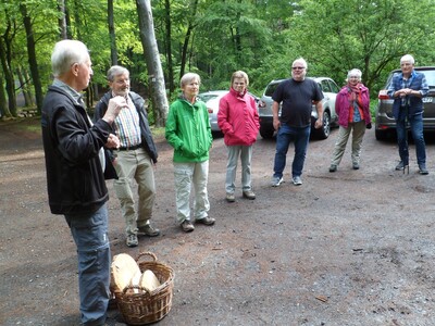 Zur Eröffnung der letzten Etappe der „Linsengerichter Grenzwanderungen“ auf dem Hufeisen: Ein Exkurs von Naturparkführer Willi Bechtold in die Welt der Tropenbäume, die keine Jahresringe wie unsere heimischen Bäume haben. 