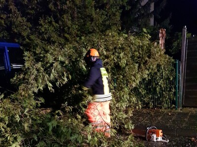 Sturmtief 'Sabine' wütete auch im Main-Kinzig-Kreis. - <i>Fotos: Main-Kinzig-Kreis</i>