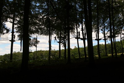Im Europa Kletterwald in Steinau geht es hoch hinaus.