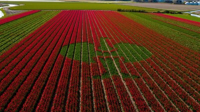 Aufgabe der Top-Farmer aus den sechs Teilnehmernationen war es, den markanten Straußenvogel aufs Feld zu bringen.