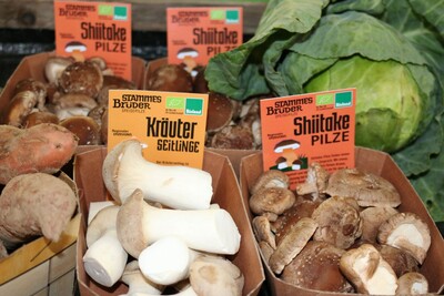 Die Shiitake und Kräuterseitlinge stammen aus dem Anbau des Inklusionsbetriebs Grün und Grün in Altenhasslau
