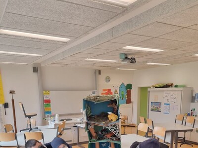 Stockwerke des Waldes im Nawi-Raum- ein Nawi-Projekt der Klasse 6b, das Fünftklässern von Biologie-Lehrerin Sabrina Dehm erklärt wird.