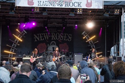 The New Roses 