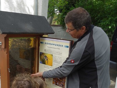 Imker Roland Huhn stellte den Kindern an einem Schaukasten beispielhaft das Leben im Bienenstock vor.
