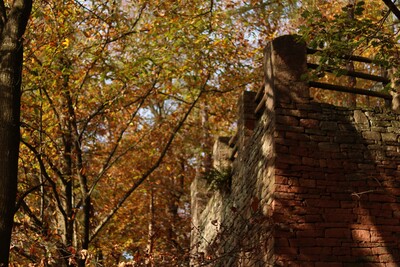 Gelnhausen ist viel mehr als Altstadt und Marienkirche - auch Natur pur