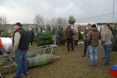 Für viele Zuschauer war der Weihnachtsbaumkauf ein tolles Erlebnis.