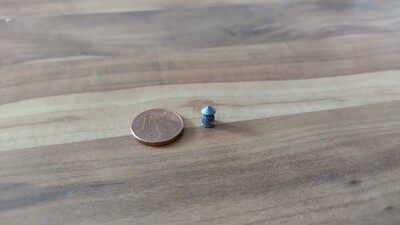 Dieses Projektil wurde in der Katze gefunden